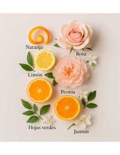 MISDI BOUQUET by LAROME (80F) Perfume Femenino 2