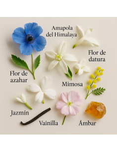 VERSO by LAROME (4F) Perfume Femenino 100ml 2