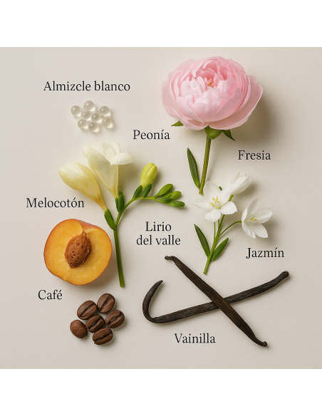 AINHOA by LAROME (5F) Perfume Femenino - Pirámide olfativa