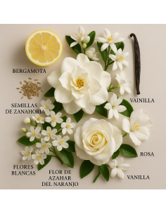 Snow Light de LAROME: l’essenza luminosa e fresca ispirata a Soleil Neige. 2