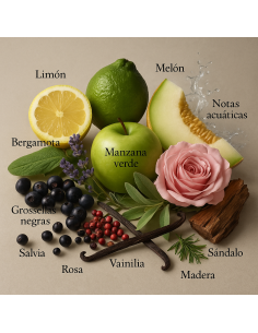 Anisette by Larome – Perfume de nicho aromático cítrico, 100 ml 2