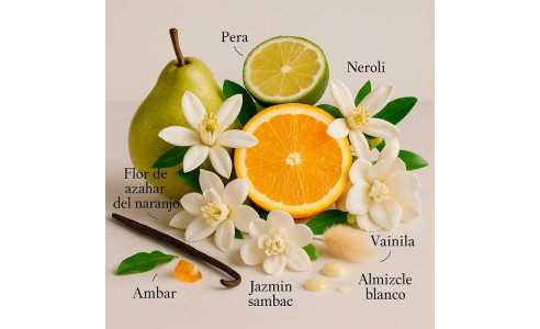 ▷POLYGON by LAROME ✶ Perfume para mujer