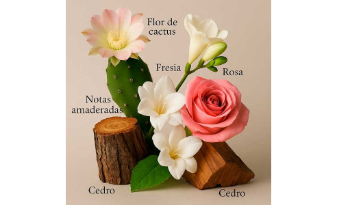 ▷ MAVI by LAROME ✶ Perfume feminino