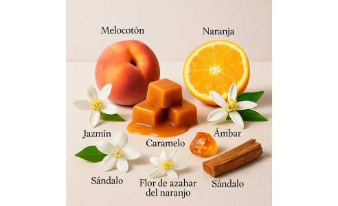 ▷ PRALINÉ by LAROME ✶ Perfume for women