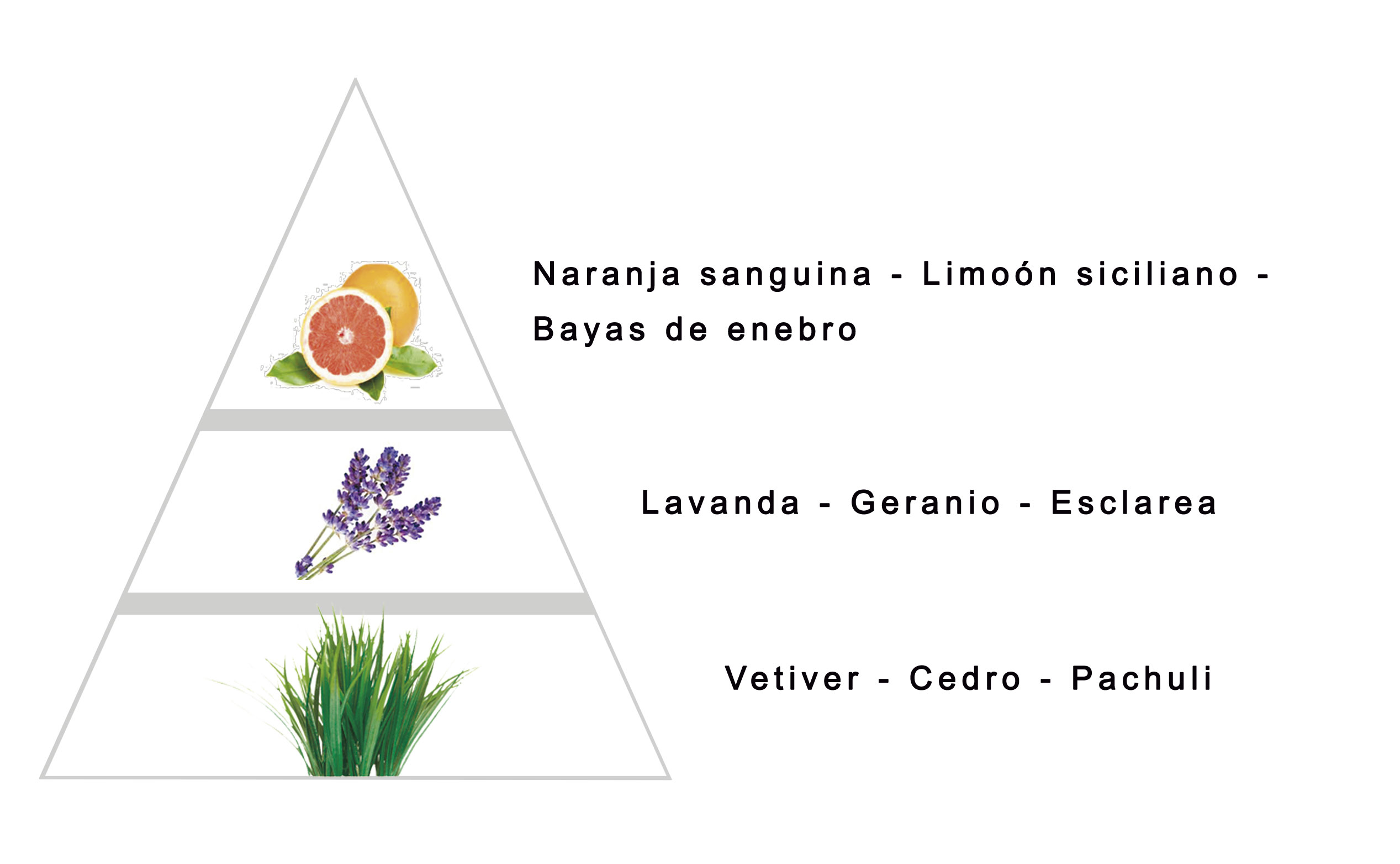 KORONA by LAROME (13M) Profumo Maschile - Note olfattive