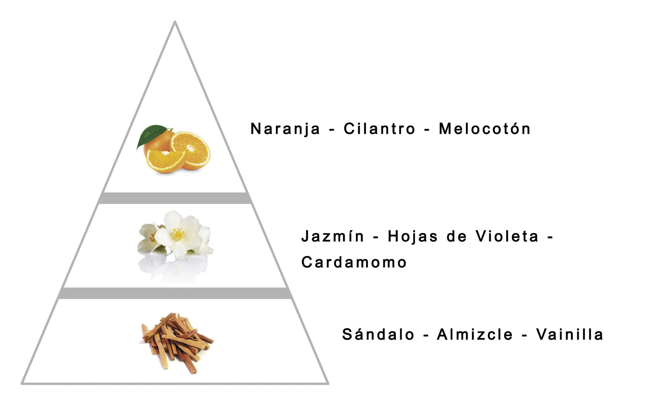 LAROME (42F) Perfum Femení - Notes olfactivas