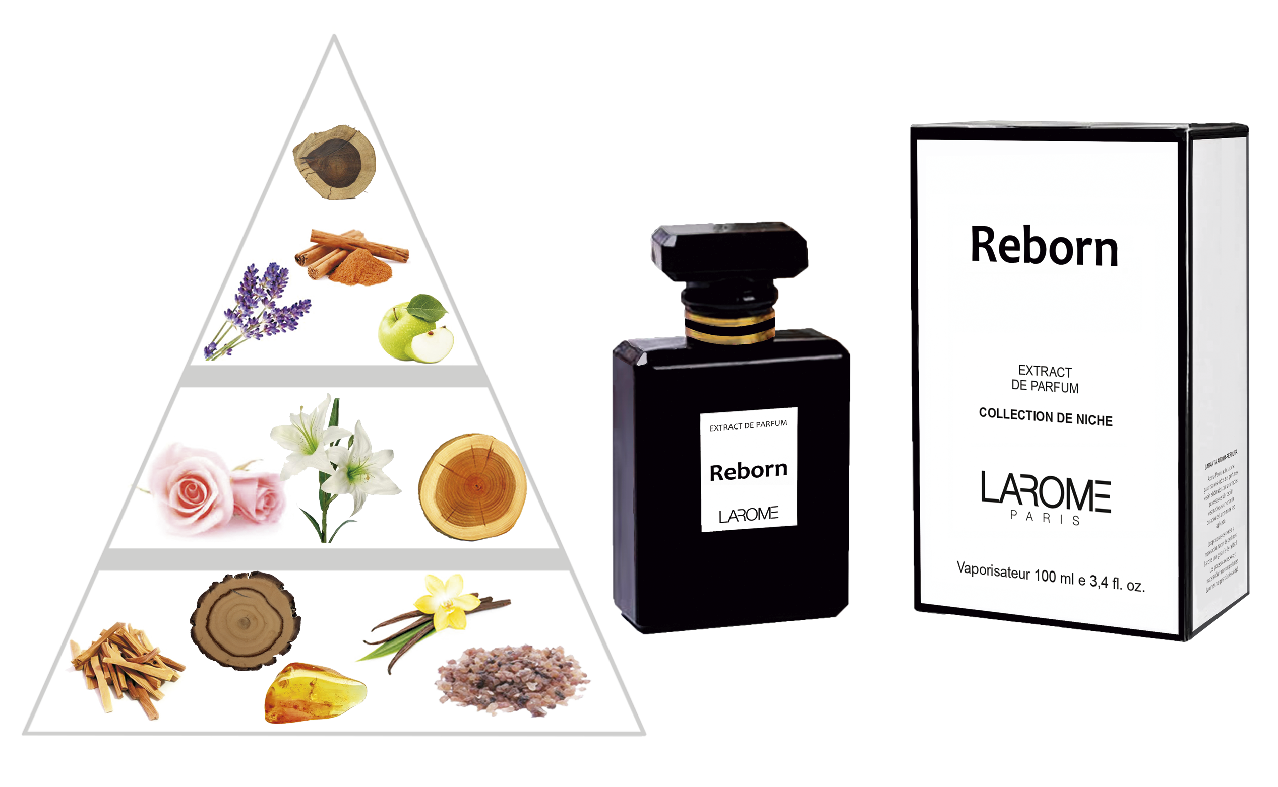 Reborn by LAROME Perfum de nínxol Unisex- Notes olfactives