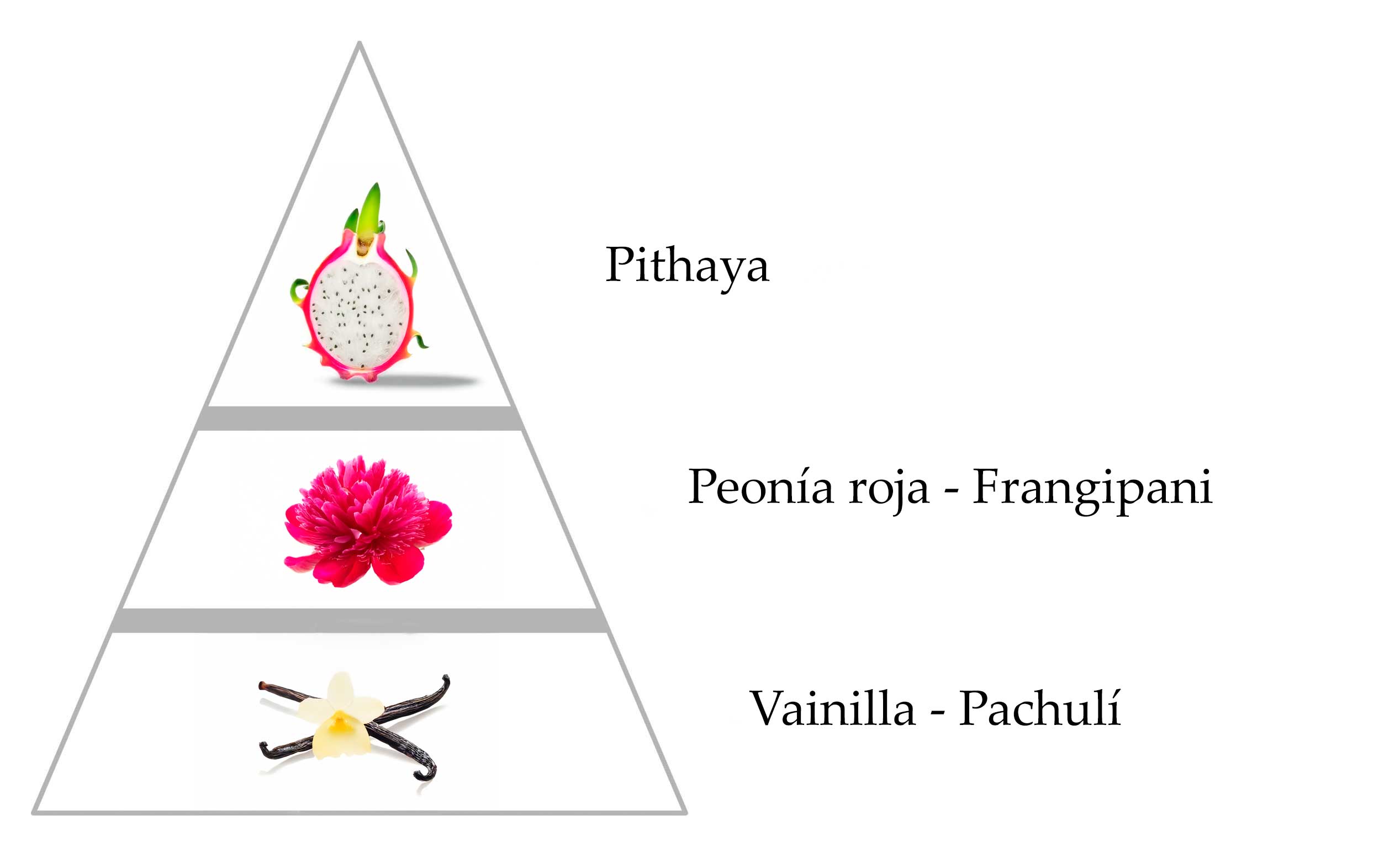 PIRAMIDE-98F-BOOM.jpg