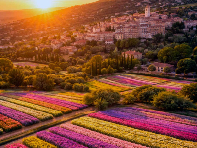 Europe and Perfume: From the Perfume Cuna to a Global Market